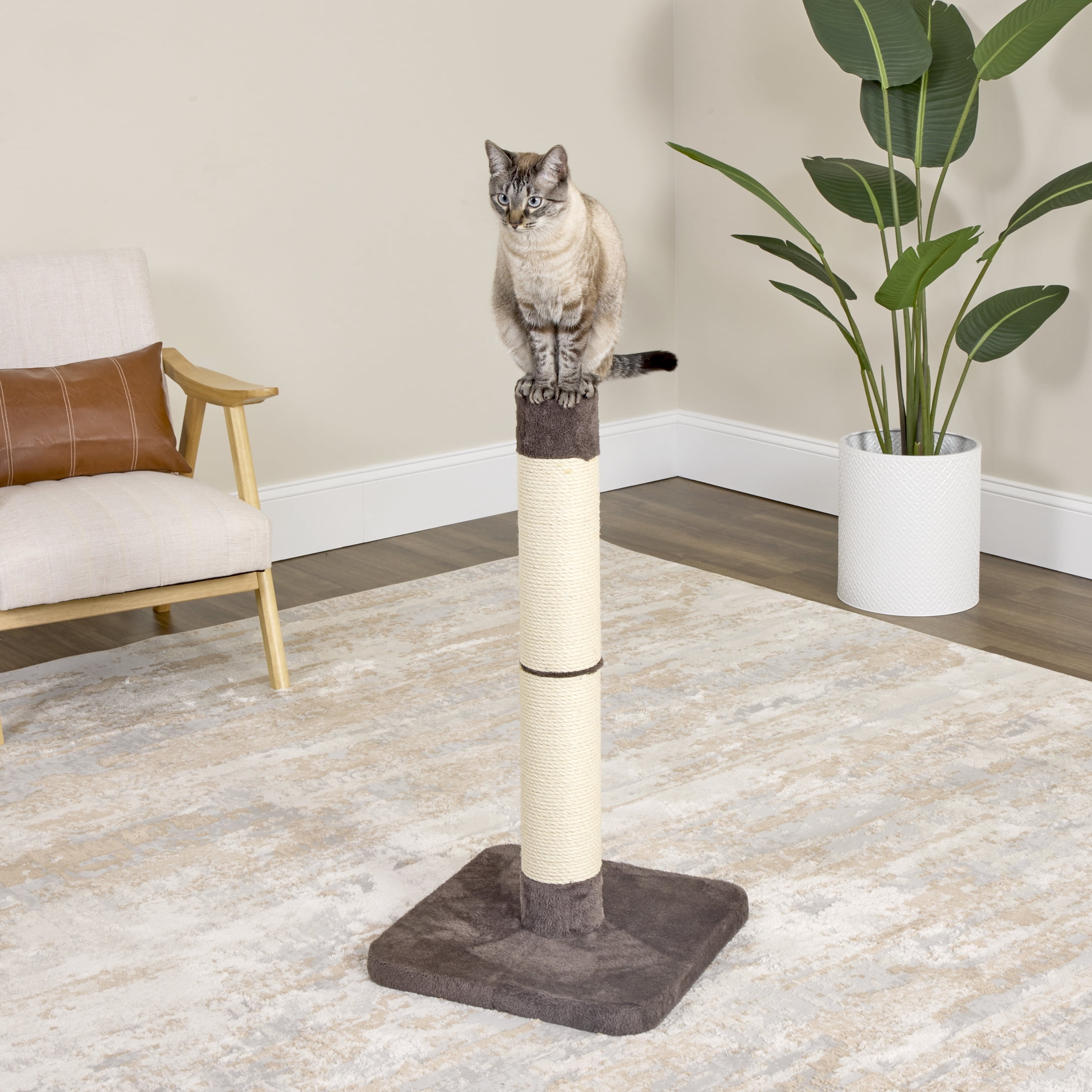 MidWest Homes for Pets Feline Nuvo Medium Forte Cat Scratching Post - Brio, 31-Inch Height