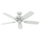 thumbnail image 1 of Ventilador De Techo Hunter 48 Pulgadas 5 Aspas de Plastico, 1 of 5