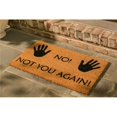 thumbnail image 1 of Dynamic Rugs VA233457190 18 x 30 in. Vale No Not You Again Door Mat - Ivory & Black, 1 of 1