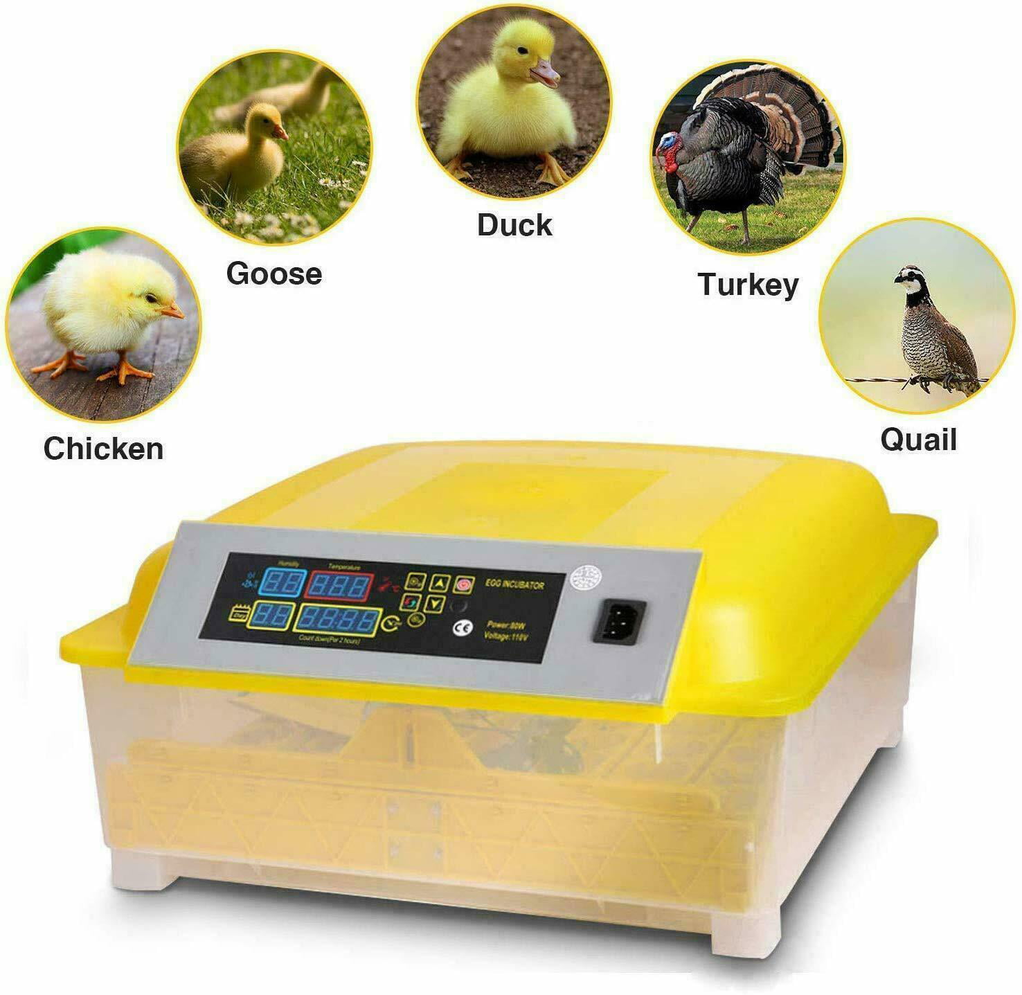 24/48Egg Digital Automatic Incubator Chicken Poultry Hatcher Temperature Control 