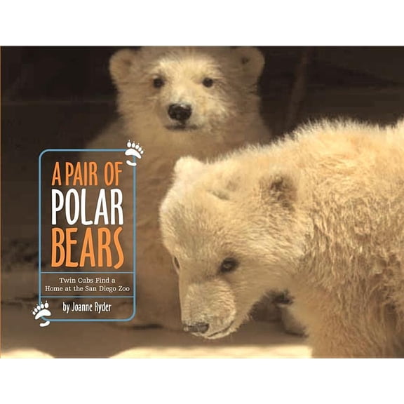 A Pair of Polar Bears : Twin Cubs Find a Home at the San Diego Zoo (Hardcover)
