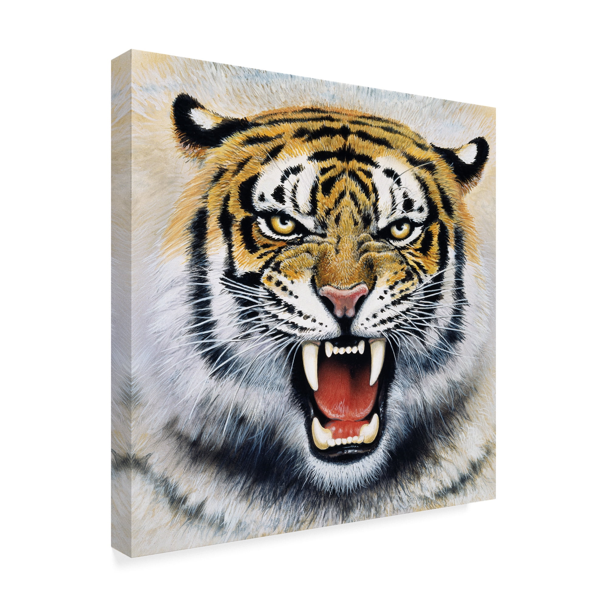 Trademark Fine Art 'Tiger Portrait 2' Canvas Art by Harro Maass