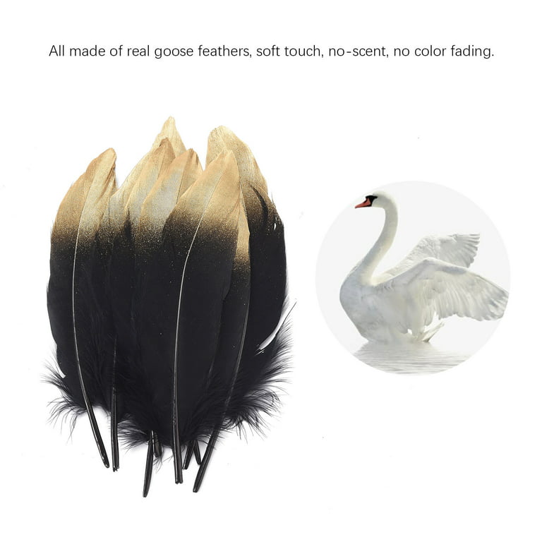 Colorful Goose Feathers, for DIY Craft Wedding Home Party