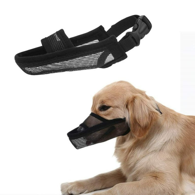 Air muzzle store for dogs