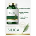 thumbnail image 3 of Silica Supplement 500mg | 200 Capsules | from Horsetail Extract | by Carlyle, 3 of 7