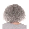 thumbnail image 2 of HPO Adult Old Men’s Bald Grey Costume Wig, Perfect for Cosplay&Halloween Wigs, Made Synthetic Fiber, 2 of 5