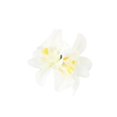 thumbnail image 2 of Hariumiu Flower Hair Clips Hairpin Clips Set Seaside Holiday Orchid Flower Barrettes for Girls Versatile Diy Accessory Hairpin Barrettes, 2 of 10