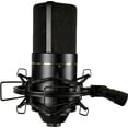 thumbnail image 4 of MXL 770 Plug-in Condenser Microphone, Black, 4 of 5