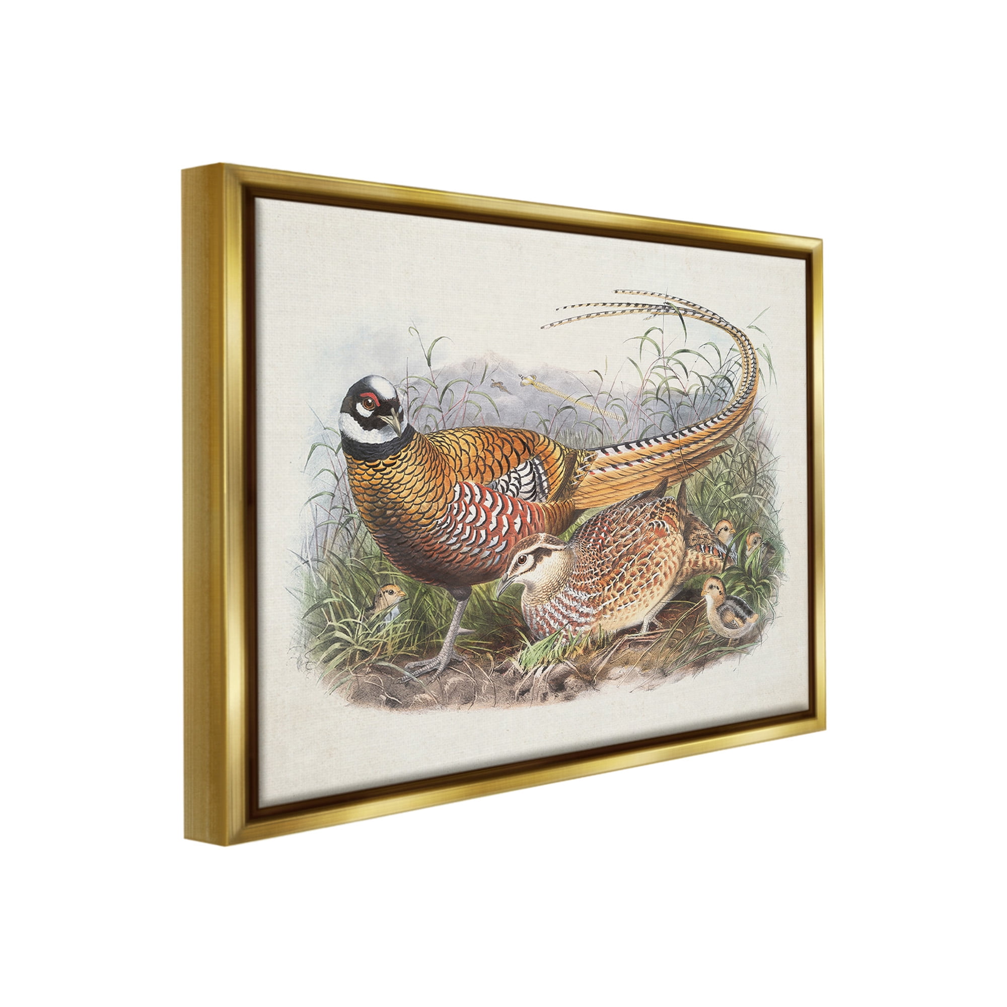 Stupell Industries Pheasant Family in Nature Animals & Insects Painting Gold Floater Framed Canvas Art Print Wall Art, 31 x 25