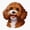 1pcs, variant on Cavapoo Cavoodle Cockapoo Puppy Er, Phone Decal Water Bottle Stickers Car Decals, Funny Birthday Gift