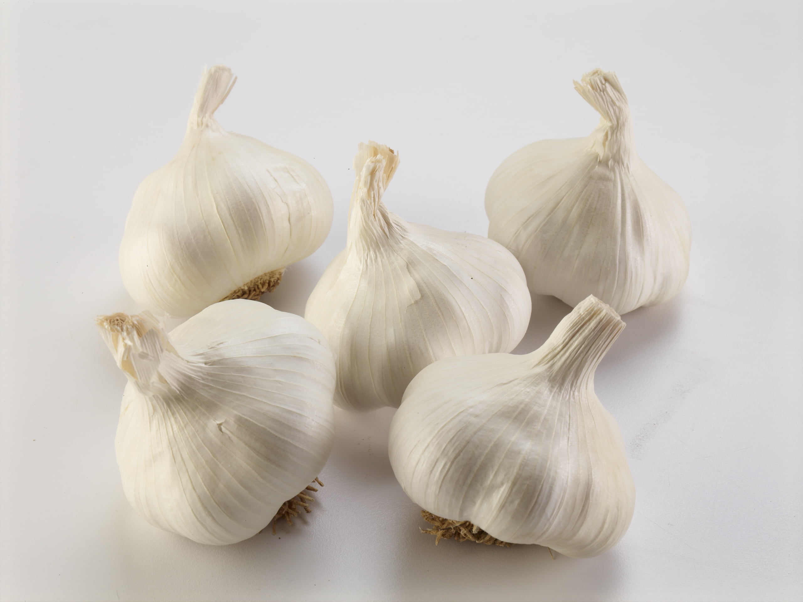 Spice World Jumbo Garlic Bulb, 16 Oz