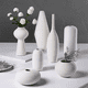 thumbnail image 1 of Adornos de jarrón de cerámica blanca, sala de estar sencilla, arreglos florales de flores secas, mesa de comedor creativa, mesa de café, decoraciones para el hogar, 1 of 5