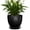 Black, variant on Wliror 6 Inch Glaze Blue Ceramic Plant Pot with Drainage – High‑Gloss Shiny Planter for Indoor Plants, Succulents, Herbs