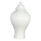 thumbnail image 1 of Tarro de cerámica de porcelana para jengibre, tarro de almacenamiento, florero para decoración de fiestas de oficina Blanco, 1 of 9