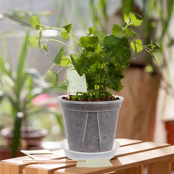 OULII 4 Sets Clear Orchid Planters PP Material Breathable Root Control