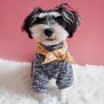 thumbnail image 3 of Bandana pour Animaux de Compagnie Mode Joli Mouchoir pour Chiots Chatons, 3 of 8