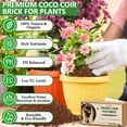 thumbnail image 6 of Legigo 12 Pack Premium Coco Coir Brick for Plants- 100% Organic Compressed Coconut Coir Bricks Starting Mix, Coco Coir Fiber Coconut Husk for Planting, Gardening, Potting Soil Substrate, Herbs, 6 of 7