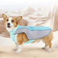 thumbnail image 2 of Summer Outdoor Dog Cooling Vest Reflective Strip Quick Cooling M, 2 of 5