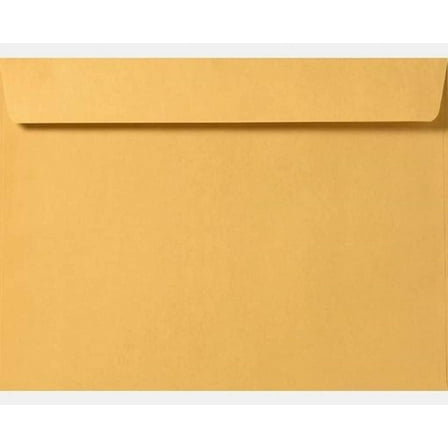 Limited Papers (TM) Booklet Envelopes, (Open Side) Brown Kraft, Gummed Seal, 28 Pound, Heavyweight, For Mailing And More. (1000, 6 x 9)