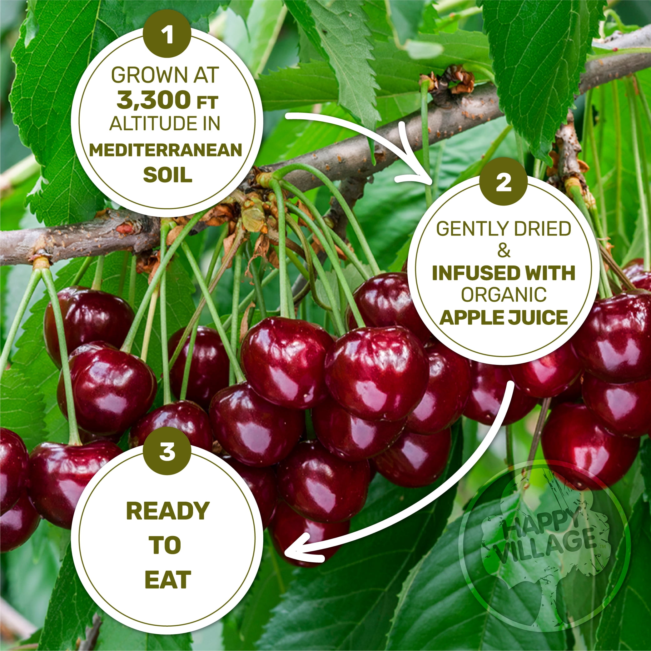 Happy Village Organic Whole Dried Tart Cherries, 10 OZ (2 Packs of 5 OZ) - Soft & Juicy, Kosher, Non-GMO, No Refined Sugar, Apple Juice Infused Dried Tart Cherry