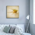 thumbnail image 5 of Epic Graffiti 'Grasses 2' by Jessica Rogers, Canvas Wall Art, 37"x37", 5 of 8