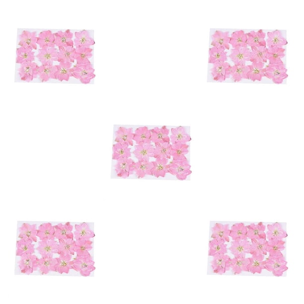 Moyic 12 piezas de flores secas, espécimen prensado teñido Natural en gran comodidad, suministros para álbumes de recortes para carcasa de tipo 3 5piezas Moyic CBP228499