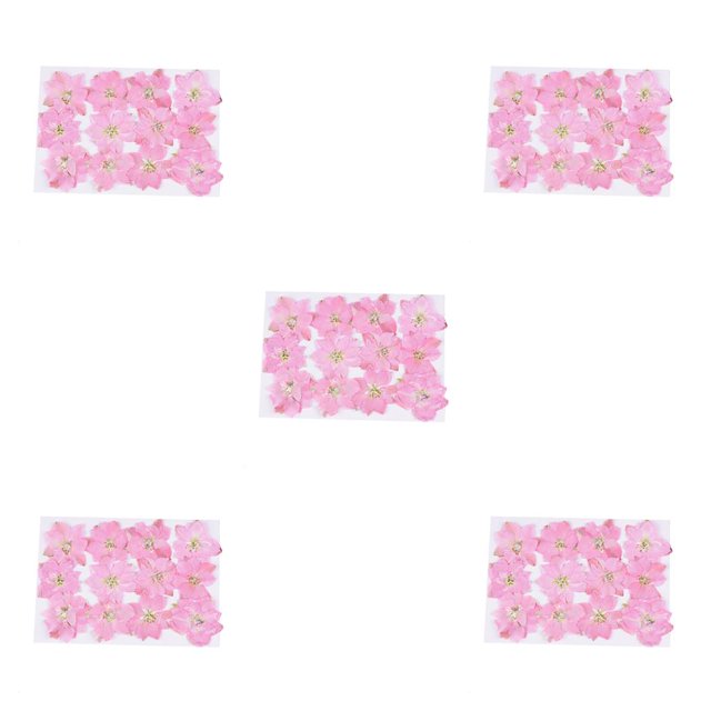 Kearding 12 piezas de flores secas, espécimen prensado teñido Natural en gran comodidad, suministros para álbumes de recortes para tipo 3 5piezas