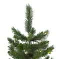 thumbnail image 4 of Northlight 7.5' Pre-Lit Medium Mixed Scotch Pine Artificial Christmas Tree - Warm White LED Lights, 4 of 6
