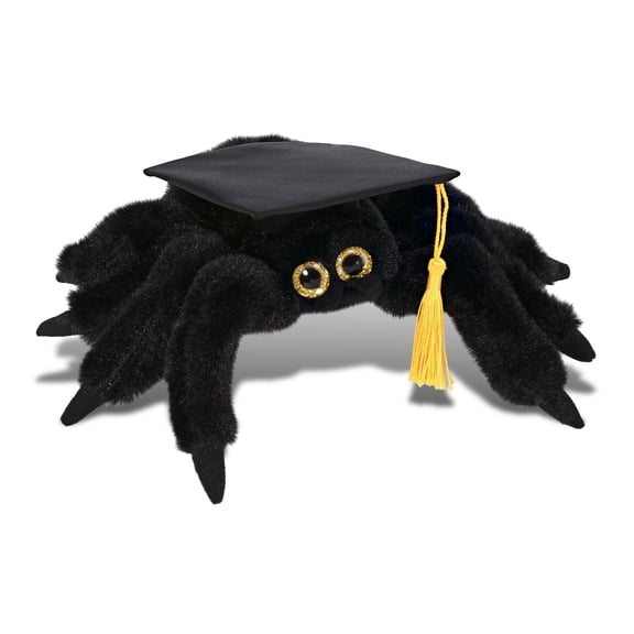 DolliBu Black Spider Graduation Plush Toy - Super Soft Plush Graduation Stuffed Animal Dress Up with Graduation Cap with Tassel Outfit - Cute Congratulatory Graduation Gift for Kids - 8 inches