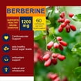 thumbnail image 3 of Nature's Live  Berberine Extract Capsules 1200mg Blood Sugar Support Supplement 60 capusles ﻿, 3 of 5
