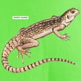 thumbnail image 3 of CafePress - Desert Iguana Light T Shirt - Light T-Shirt - CP, 3 of 4