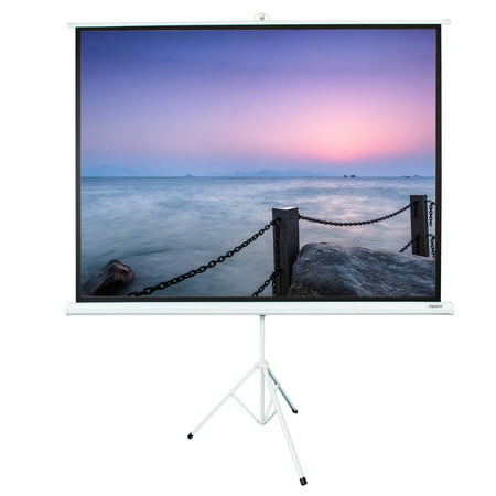 Leadzm 100 INCH 4:3 HD Portable Projector Screen with Foldable Stand Tripod, Movie Screen HD Pull Up Indoor Outdoor Projection Screen for Home Theater Cinema Movie Wedding Party Office (Best Pull Up Projector Screen)