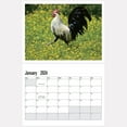 Vntub Deals Clearance Under 5 Advent Calendar 2024 Big Cocks 2024