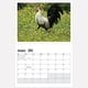 thumbnail image 3 of Calendario de pared Fiudx 2024 divertidos gallos elefantes blancos y Papá Noel secreto, 3 of 3