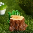 thumbnail image 5 of 16pcs small Micro moss succulent flower pot accessories Cake decoration tabletop decoration, 5 of 5