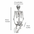 Walmart Deals Shooting Props,Halloween Skeleton Full Body Life Size