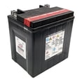 thumbnail image 4 of LTH MOTOBATERIA TX30L BS, 4 of 5
