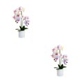 thumbnail image 1 of Kearding Planta artificial apta para mascotas e inodoro para decoración del hogar no tóxica Flor de bonsái artificial BF2312087 BF2312087 2piezas, 1 of 6