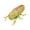 Yellow #y68, variant on BiFandian Realistic Detailed Insect Toy Collection, Interactive Bug Figures for Playful Entertainment, Durable Play Models for Indoor and Outdoor Leisure Fun