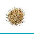 thumbnail image 2 of Zupreem® Sensible Seed® Bird Food for Small Birds 2 lb Seed and Pellet Mix, 2 of 6