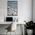 thumbnail image 3 of Backyard Birds Educational Poster - 24 x 36 inches, 3 of 5