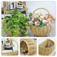 thumbnail image 3 of Wall Hanging Fruit Holder Kitchen Storage Decorative Light Brown Pp Material 1Pack, 3 of 5