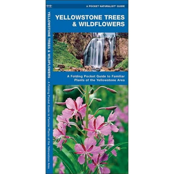 Pocket Naturalist Guides: Yellowstone Trees & Wildflowers: A Folding Pocket Guide to Familiar Plants of the Yellowstone Area (Other)