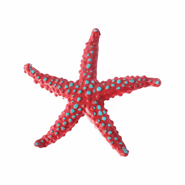Juguetes De Buceo Con Estrellas De Mar. Juegos De Piscina Con Estrellas De Mar. Juego De Estrellas De Mar De Colores Con Bolsa De Malla Dorada. Juego De Juguetes De Buceo Para El Verano. Juego De Ju
