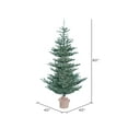 thumbnail image 2 of Vickerman 5' Alberta Blue Spruce Artificial Christmas Tree, Unlit, 2 of 4