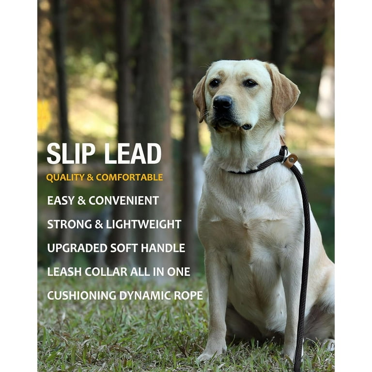 Thin Rope Slip Lead, Small Dog Slip Lead
