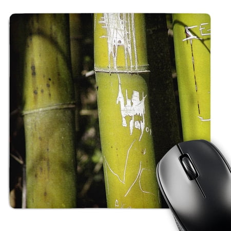 3dRose  Bamboo Art  MousePad price history on PriceWatchPro