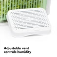 thumbnail image 4 of OXO Good Grips GreenSaver Produce Keeper - Small, 4 of 8