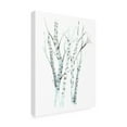 thumbnail image 2 of Trademark Fine Art 'Aquarelle Birches II' Canvas Art by Grace Popp, 2 of 3