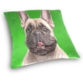 thumbnail image 3 of GZHJMY Throw Pillow Case Decorative Cushion Cover Square Pillowcase, Hipster French Bulldog Sofa Bed Pillow Case Cover(18x18inch) Twin Sides Home Decor, 3 of 4